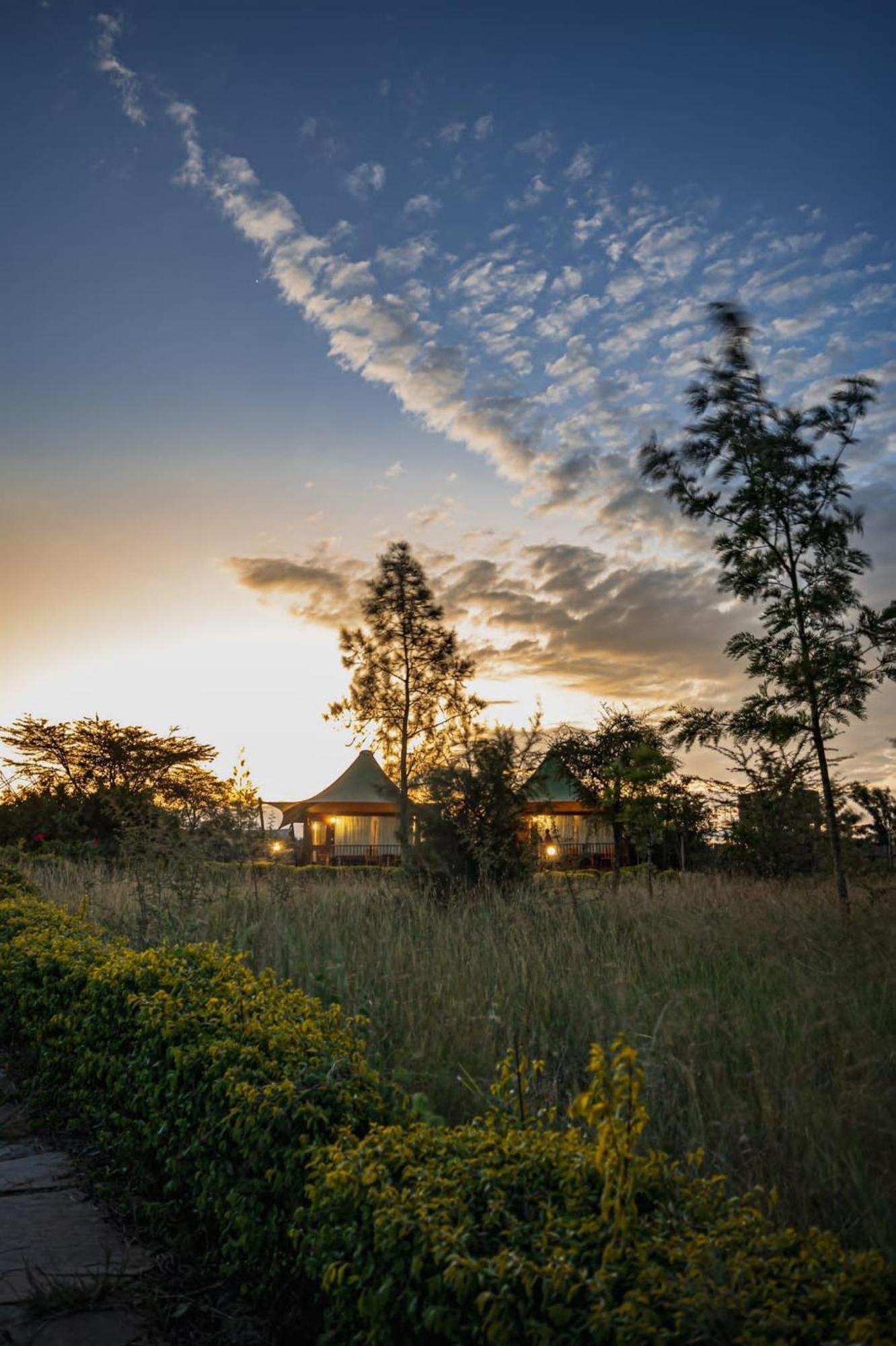 Aa Lodge Maasai Mara Talek Dış mekan fotoğraf