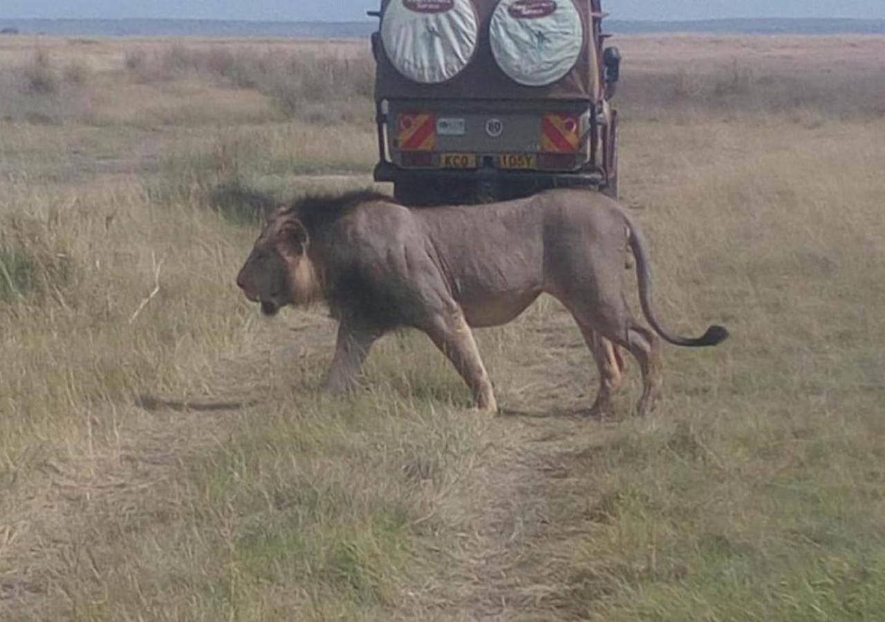Aa Lodge Maasai Mara Talek Dış mekan fotoğraf