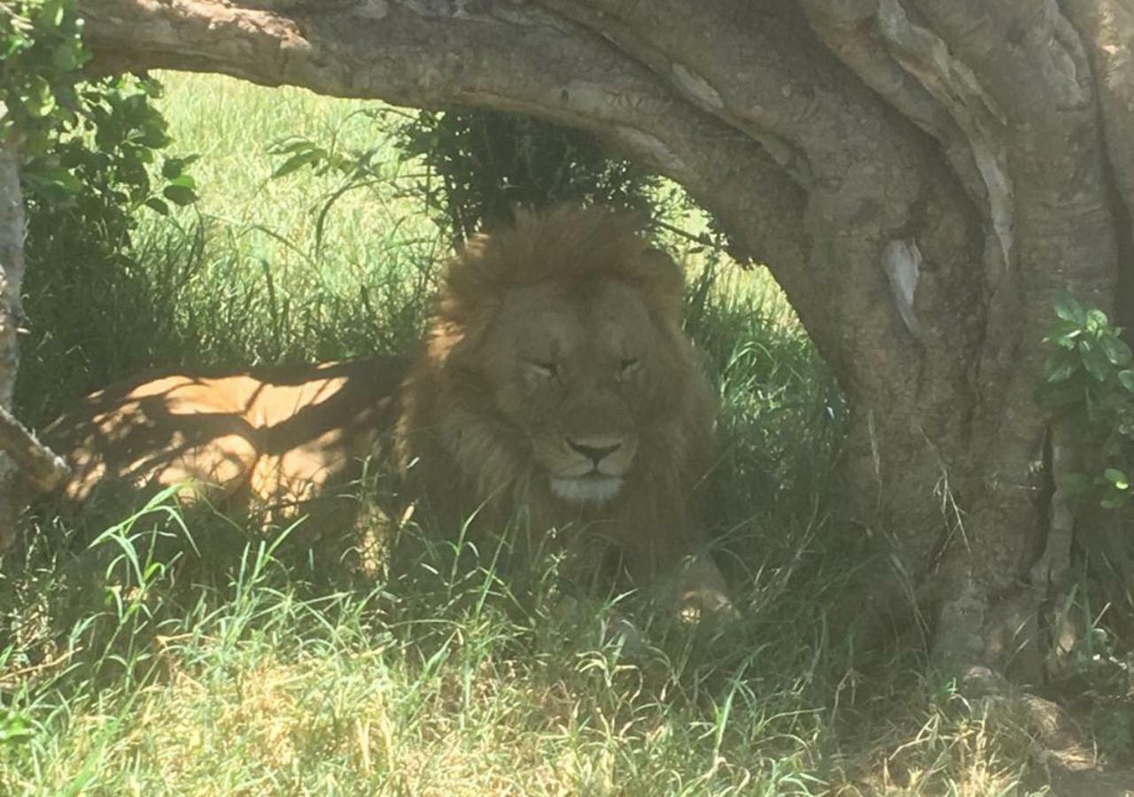 Aa Lodge Maasai Mara Talek Dış mekan fotoğraf